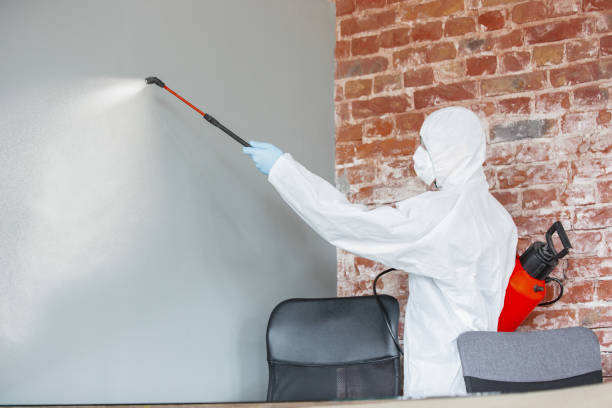 Best Comprehensive Air Testing for Mold Contaminants  in Montrose, MI