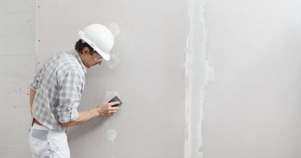 Best Mold Documentation for Insurance Claims  in Montrose, MI