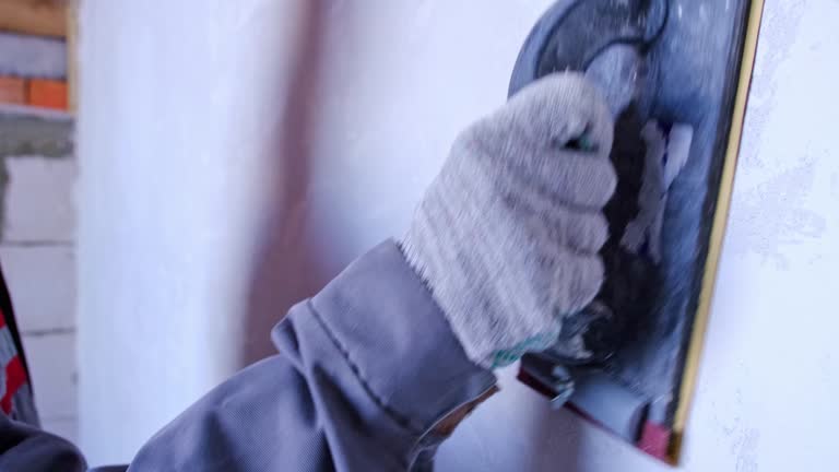 Best Biohazard Mold Removal  in Montrose, MI