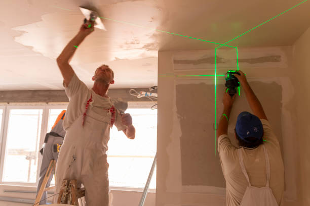 Best Mold Remediation for Healthcare Facilities  in Montrose, MI
