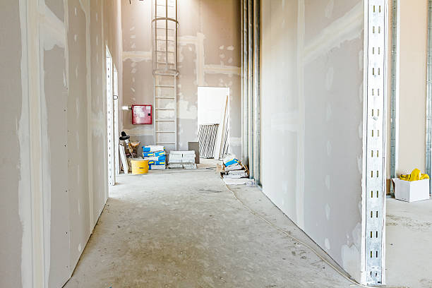 Best Commercial Mold Inspection  in Montrose, MI